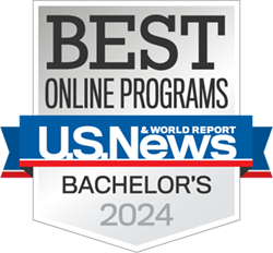 Best Online Program Bachelor's